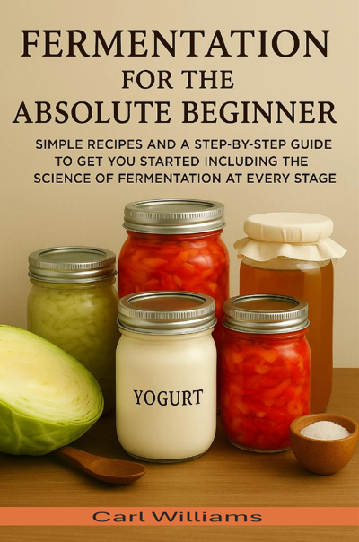 Fermentation for the Absolute Beginner (book cover)